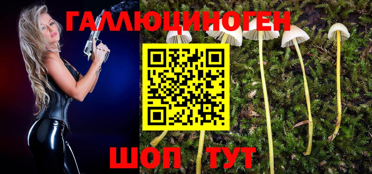 Псилоцибиновые грибы прущие грибы  закладки  Псилоцибиновые грибы MAGIC MUSHROOMS  Сургут 